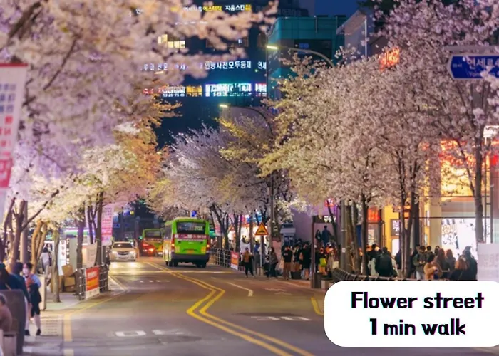 Hongdae Sinchon Mountain View